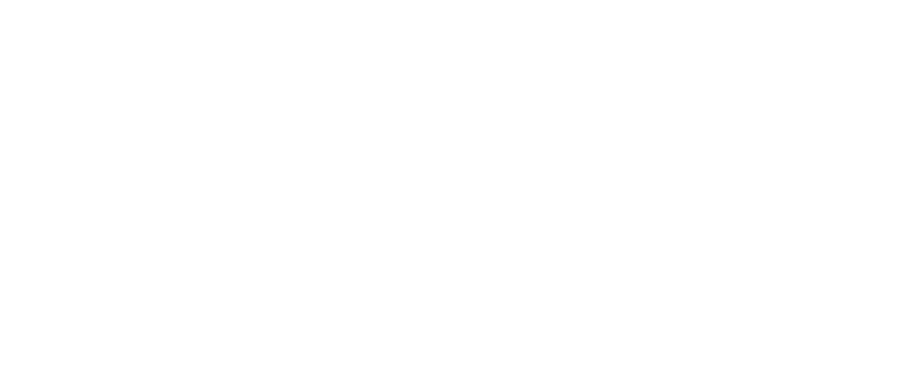 Car Dynamics wij werken voor logo's