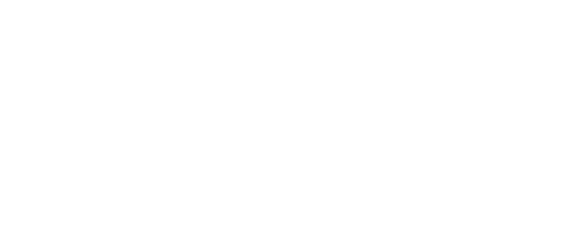 Car Dynamics wij werken voor logo's