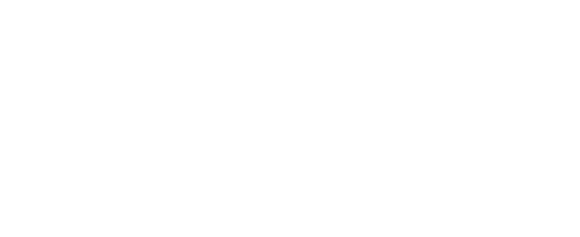 Car Dynamics wij werken voor logo's