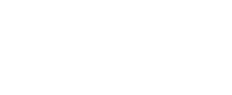Car Dynamics wij werken voor logo's